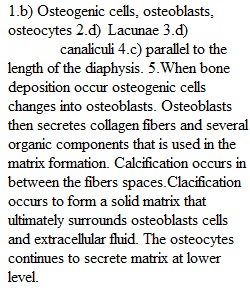 Chapter 6 Assignment